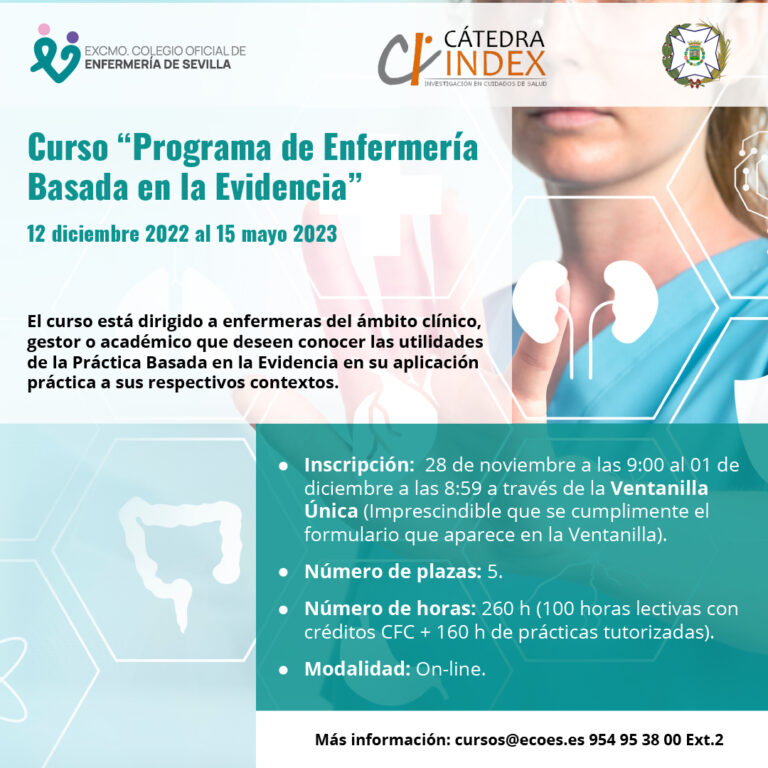 Curso De Index Programa De EnfermerÍa Basada En La Evidencia Colegio De Enfermería De Sevilla 3442